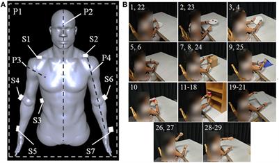 Low-Dimensional Synergistic Representation of Bilateral Reaching Movements